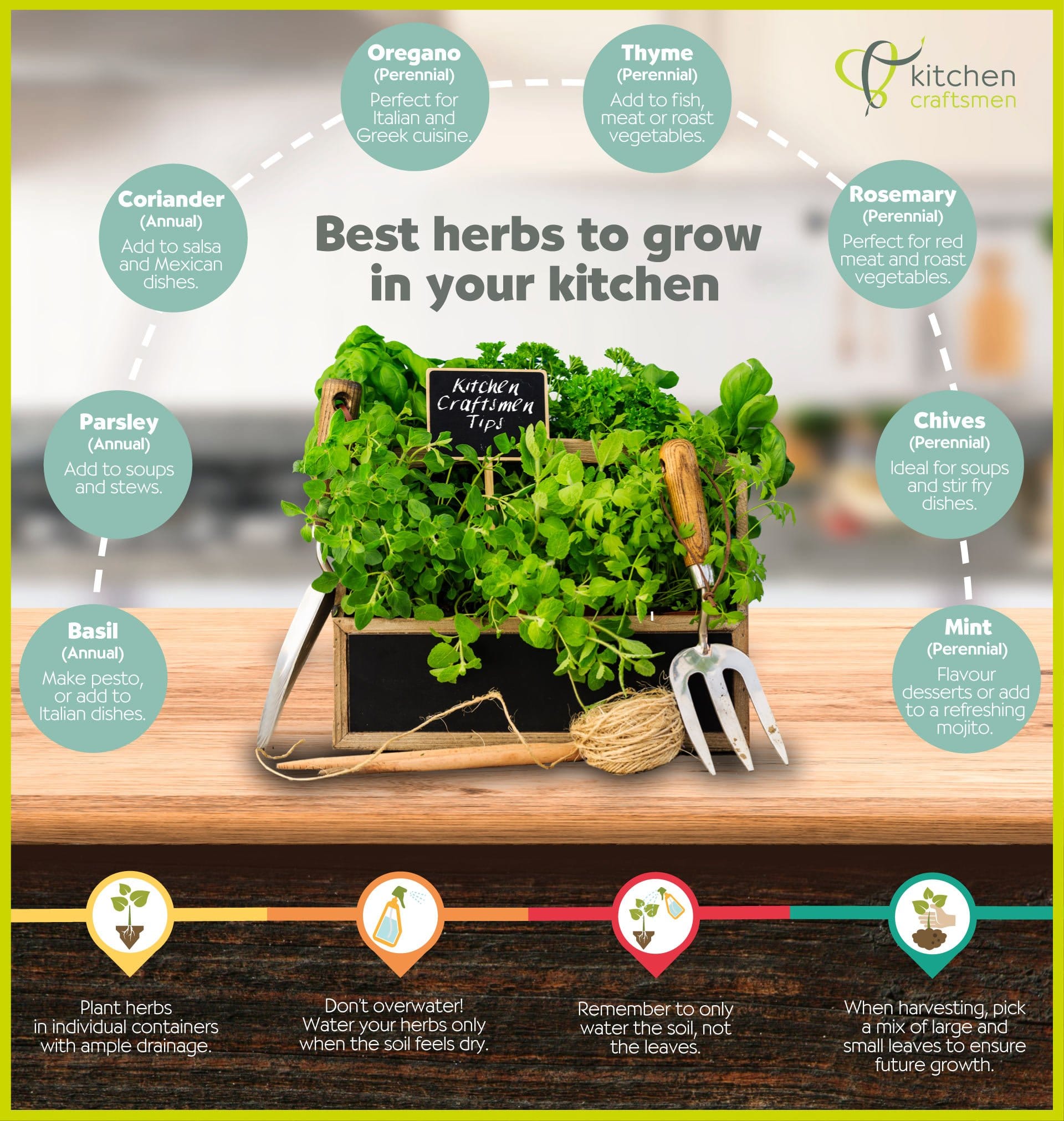 The Best Herbs To Grow In Perth Kitchens Kitchen Craftsmen