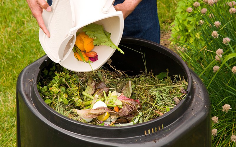 compost bin