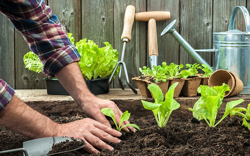 gardening