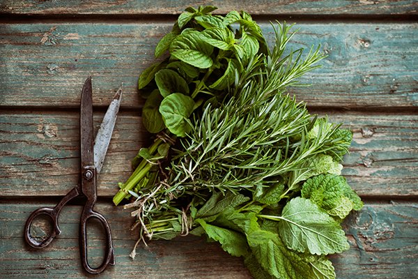 spring herbs