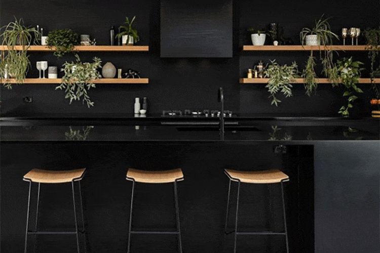 https://kitchencraftsmen.com.au/wp-content/uploads/2018/12/insta-fisherpaykel-addgreenery.gif